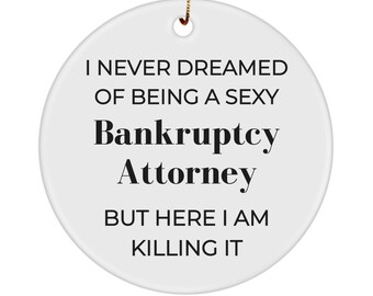 Bankruptcy Attorney Gift, Ornament Gifts, Appreciation Gift, Coworker Goodbye Gift, Appreciation Gift, Coworker Gift, Birthday Gift