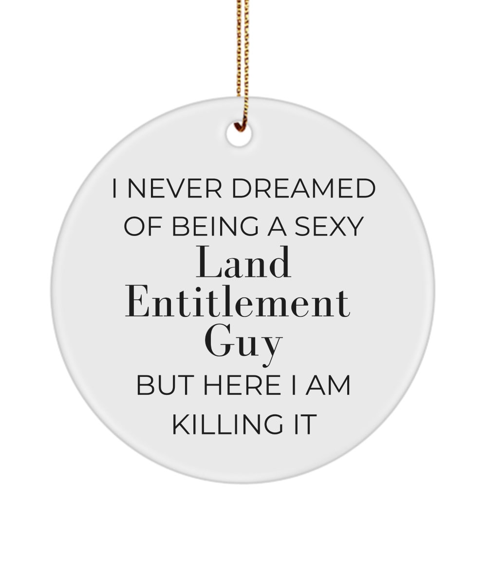 Land Entitlement Guy Gift, Coworker Gifts, Coworker Goodbye Gifts