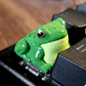 May include: A green frog-shaped keycap sits atop a black keyboard. The keycap has a light green belly and dark green back, with black eyes. The keyboard keys are black with white lettering. The logo "HIKO 3D" is visible.