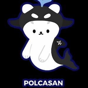 Polcasan Keychain - Etsy