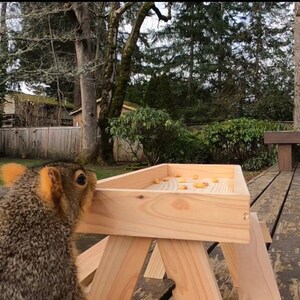Squirrel picnic table