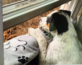Windowsill Pet Pad: Plush Micro Fleece Cushion with Skid-Resistant Pad