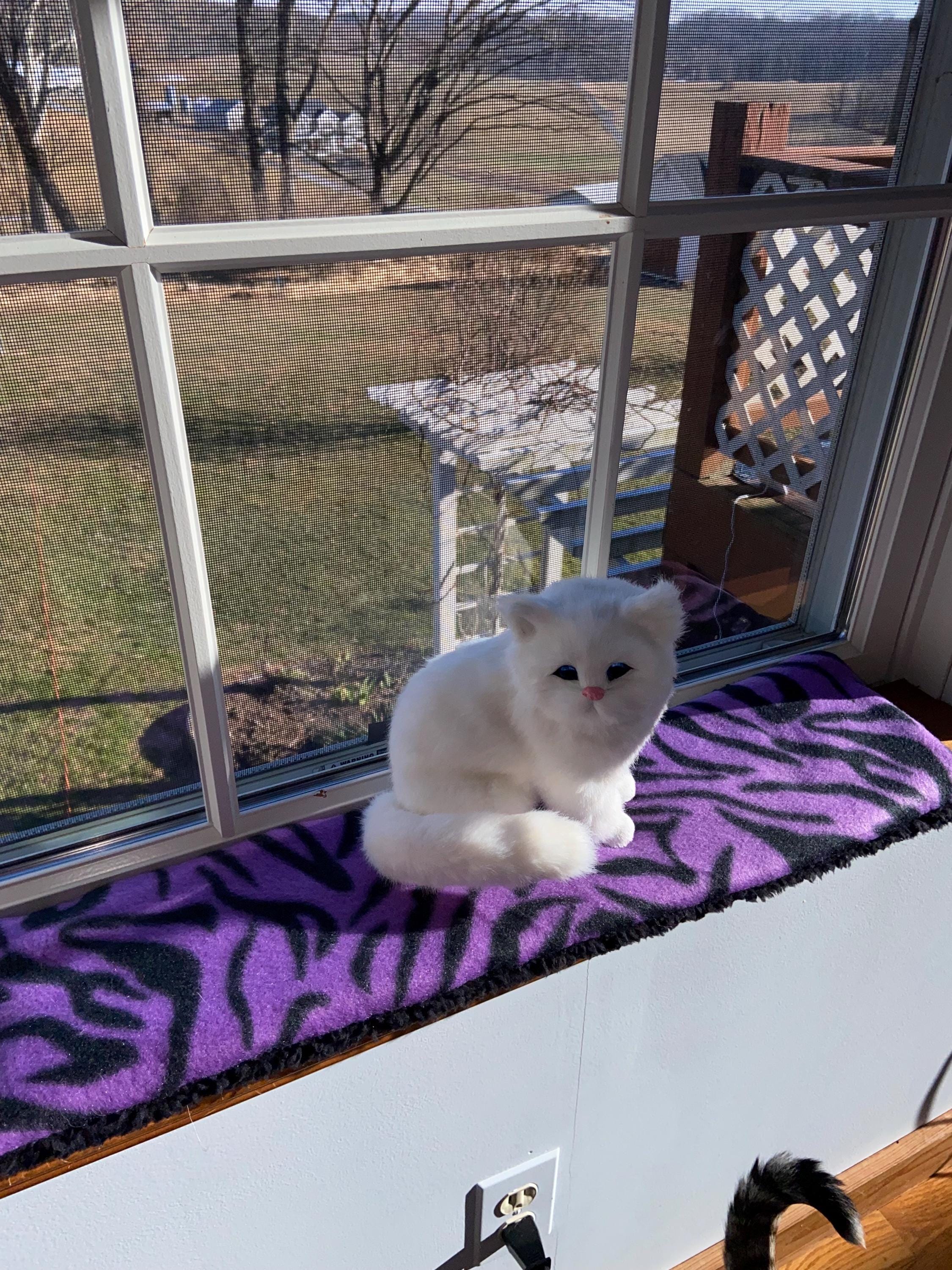 Reversible Cat Window Pad: Sherpa & Fleece Sill Cushion (6 Inch) - Etsy