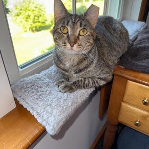 Window sill pet pad
