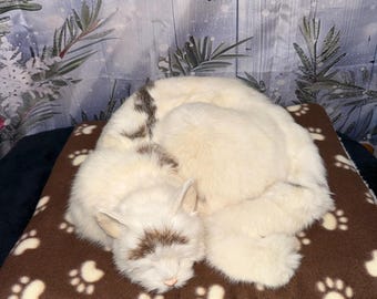 Fuzzy Sherpa Cat Pad: Self Warming Crinkle Fleece Mat