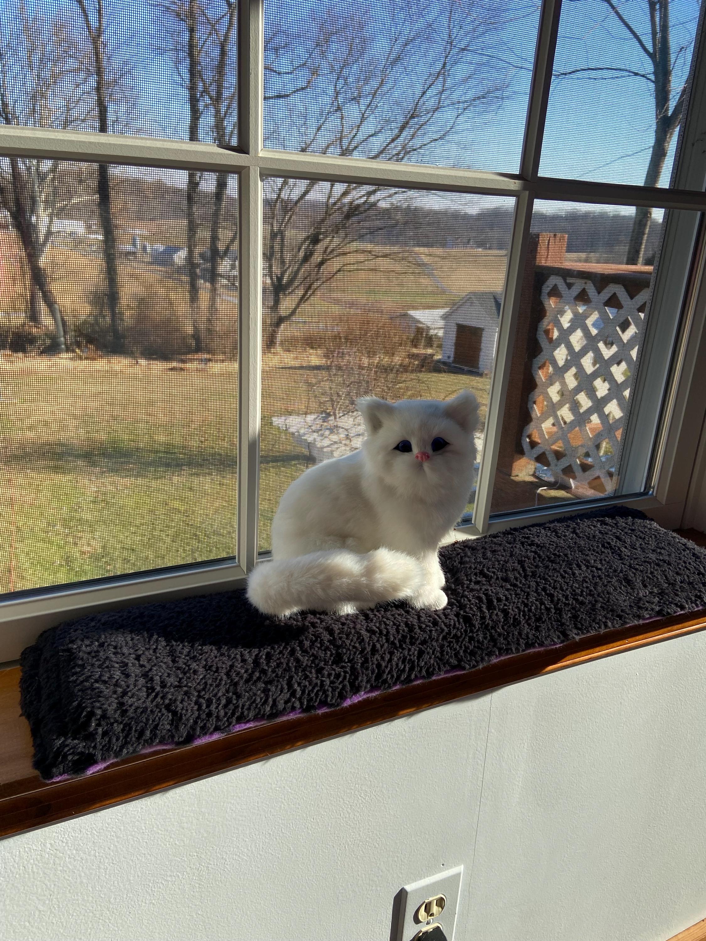Reversible Cat Window Pad: Sherpa & Fleece Sill Cushion (6 Inch) - Etsy