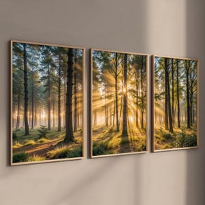 Wandbilder Wohnzimmer - Flur, Naturbild, Naturposter - Waldposter, Natur Poster-Set mit Waldmotiv und Sonnenstrahlen
