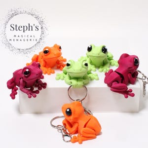 Peut inclure: Plusieurs figurines de grenouilles colorées en orange, vert et magenta. Certaines grenouilles sont des porte-clés. L'image comprend le texte "Steph's Magical Menagerie" dans un design circulaire.