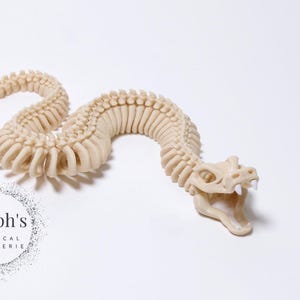 Snake Fossil | Snake Skeleton Figurine | Hand-Painted | Made-to-Order | Articulated Fidget Toy | Authorized Flexi Factory Vendor
