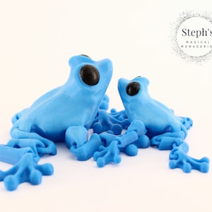 Frog | Hand-held Figurine | Hand-Painted | Made-To-Order | Articulated Fidget Toy | Authorized CinderWing3D Vendor