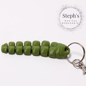 May include: A green segmented snake keychain with a silver key ring and a silver clasp. The keychain is attached to a silver ring.