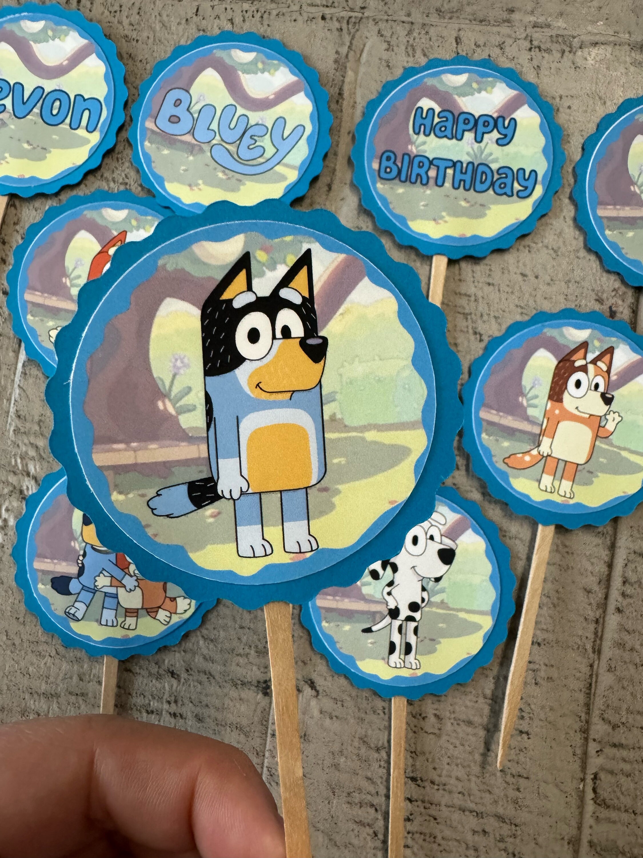 Double Layer Bluey Cupcake Toppers