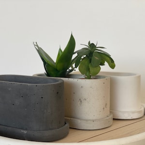 Könnte beinhalten: Drei ovale Beton-Blumentöpfe mit Abtropfscheiben. Die Töpfe sind in Grau, Hellgrau und Weiß. Die Töpfe stehen auf einer Holzoberfläche.