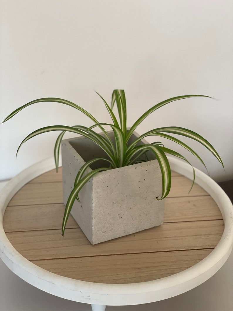 URBNLIVING Blumentopf Mit Beton-Optik – 48 Cm Hoch, Ø 25 Cm, Für Innen & Außen