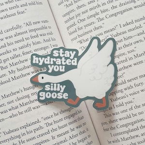 May include: A die-cut sticker of a white goose with orange feet and a teal background. The sticker has the text "Stay hydrated you silly goose" in white. The sticker is placed on an open book.
