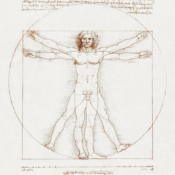 Leonardo da Vinci's Vitruvian Man