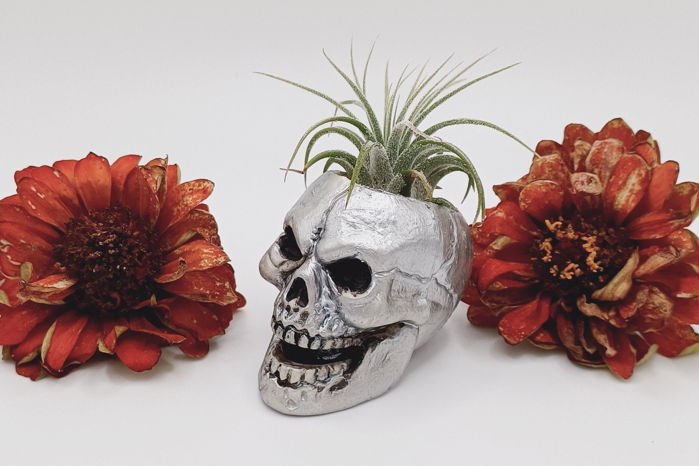 Animal Skull Planter - Etsy