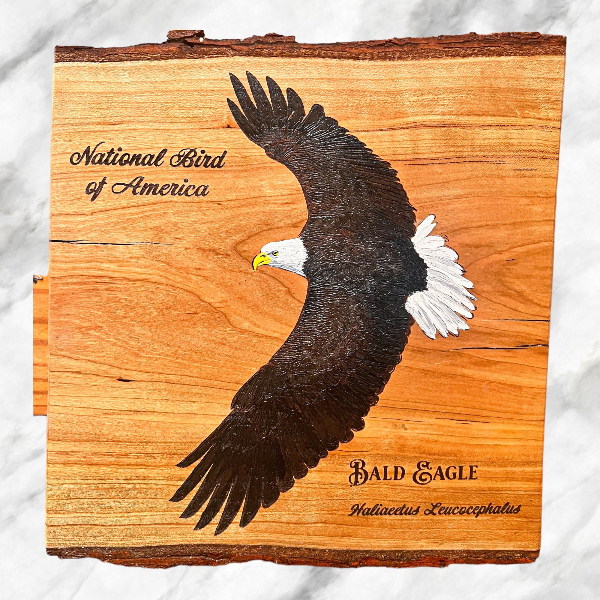Bald Eagle national Bird of America Hand Painted Custom Engraved Wood