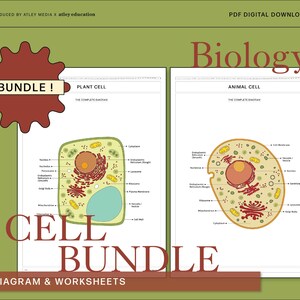 BUNDLE - Animal & Plant Cell Diagram and Differentiated Worksheets - Science Educational Resource Biology Worksheet Anatomy Study Guide