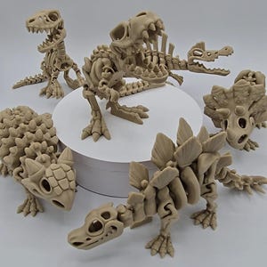 Flexi Skeleton Dinosaurs