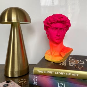 May include: A gold mushroom lamp and a pink and orange bust of a classical figure are on a wooden surface. The bust sits atop two books: "The Short Story of Art" and "Elements". Gold rings and a pink phone are also visible. The bust is a striking piece.