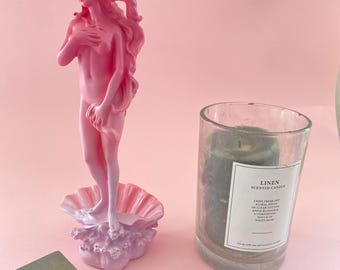 Estatua de resina del Nacimiento de Venus: Escultura Botticelli rosa de Tokio - 28 cm