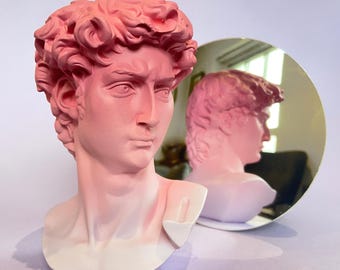 Busto de David de yeso en rosa Tokio - Michelangelo Art Decor - 15 cm
