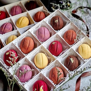 Op de afbeelding: Een doos met kleurrijke, bolvormige gebakjes in een witte doos. De gebakjes zijn in verschillende tinten rood, roze, geel en bruin, sommige met goudblad accenten. Elk gebakje is afzonderlijk geplaatst.