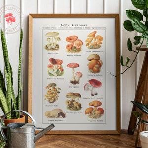 Vintage Mushroom Poster - Antieke Mycologie Illustratie - Wetenschappelijke Schimmels Grafiek Afdrukken van verschillende giftige soorten