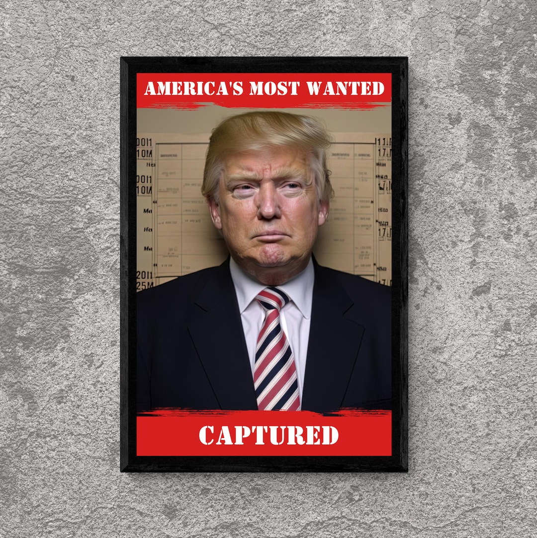 Donald Trump Mugshot Print Funny Trump Poster Funny Prints - Etsy