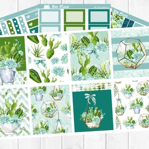 Succulents - Hobonichi Cousin A5 - Weekly Planner Sticker Kit