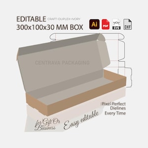 300x100x30mm Mailer Self Locking Shipping Box | diy Packaging Template | SVG DXF Ai PDF Download