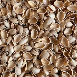 Puede incluir: Primer plano de un montón de cáscaras de pistacho vacías. Las cáscaras son de color beige claro, con una superficie lisa y ligeramente texturizada. Las cáscaras están dispersas y superpuestas, creando un patrón natural y orgánico.