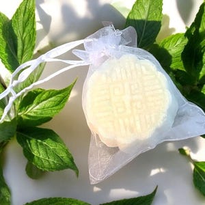 Shower Steamers