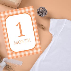 Printable Gingham Milestone Cards, Baby Milestone Cards, Baby Monthly Milestone, Baby Shower Gift, Baby Memories, Welcome Baby, Orange Cards