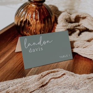 Sage Wedding Place Cards Template INSTANT DOWNLOAD Editable, Table Name Card, Minimalist Place Card, Wedding Printable, Tented & Flat, WR007