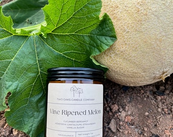 Vine Ripened Melon Soy Coconut Candle