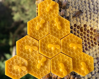 Fresh  Raw Natural Beeswax Blocks for DIY Projects and Crafts - Premium Quality, Texas Origin, Wholesale