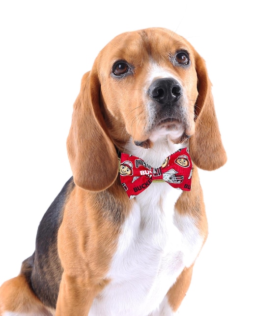 Dog Bow Tie, Cat Bow Tie, Dog  Cat Accessories, Dog Collar Bow Tie, Dog Lover, Sports Team Dog Bow Tie, Dog Clothes, Cat Clothes, Fancy Dogs