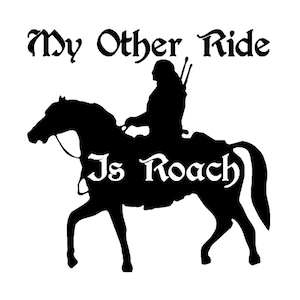 My other ride is roach decal, h 6 by l 6 inches, horse riding, funny cool vinyl stickers