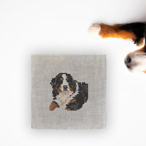 18 Mesh Count - Needlepoint Canvas – Bernese Mountain Dog - 4" x 4"