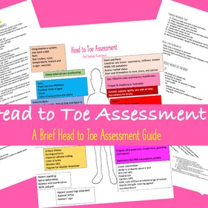 Head to Toe Assessment Bundle Nursing| 6 Pages | Digital Download