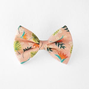 Floral Hundehalsband Fliege: Apricot Baumwolle, Slide-On