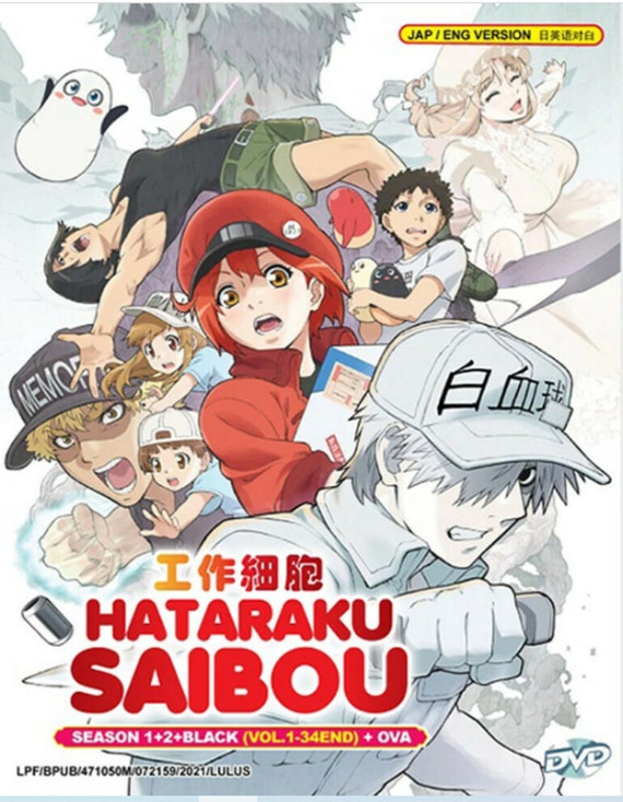 HATARAKU SAIBOU THE MOVIE - ANIME MOVIE DVD BOX SET