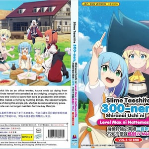 ANIME DVD The Last Summoner(1-12End) English subtitle