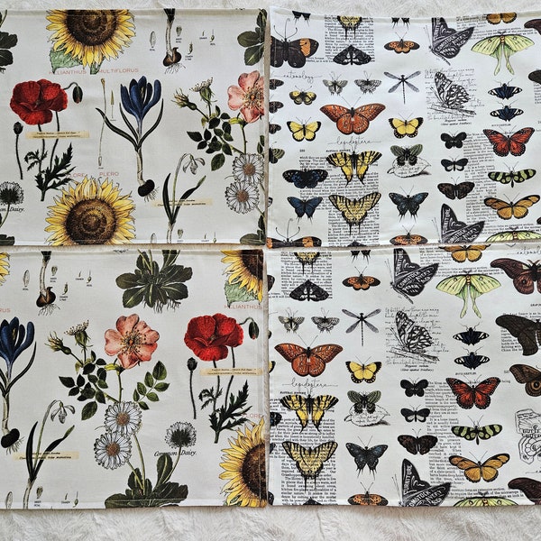 Flowers and Insects Scientific Names Reversible Placemats Set of 4