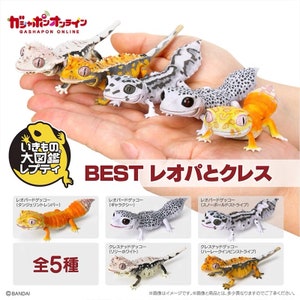 Bandai Gecko collection 1 , Japan Toys or Gashapons, Genuine little displays for decoration, birthday gift