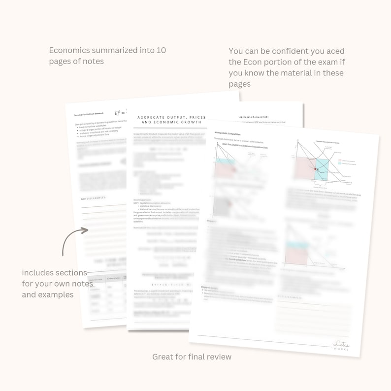 May include: A set of 10 pages of economics notes, with the text "Economics summarized into 10 pages of notes" at the top. The notes include sections for your own notes and examples. The notes are great for final review. The notes include a graph with the title "Aggregate Output, Prices and Economic Growth".