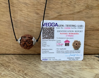 5 mukhi nepal rudraksha pendant-lab certified in metal caping, shiva pendant, spiritual gifts, yoga pendant, five faced rudraksha pendant