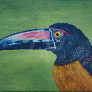 Arte original, pintura al óleo sobre lienzo, tucán, retrato de mascota pintado, pájaro, 45-60 cm, pintura al óleo